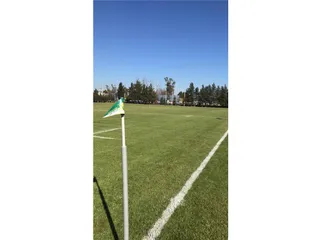 Varela Jr y la Pre B de Los Tilos salieron a mano