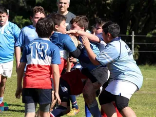 Se viene el festival de rugby infantil en Mar del Plata