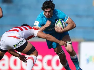 LOS TEROS VUELVEN A JAPÓN