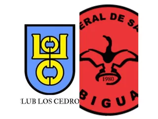 LOS CEDROS SE QUEDÓ CON UNA GRAN VICTORIA ANTE TIRO FEDERAL DE SAN PEDRO COMO LOCAL