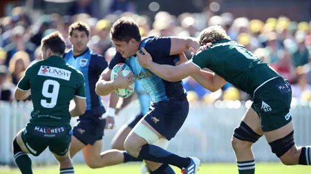 Amistoso – Los Pumas golearon en su último partido de preparación para el Mundial