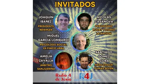 novedad-14780