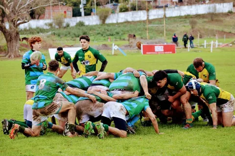 galeria-17002-1-53b297aa-424c-42f8-8fe9-28000cca9cdf