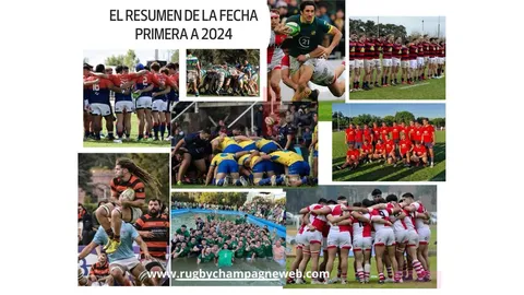 novedad-17045