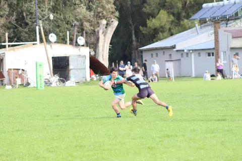 galeria-17238-1-fc908a96-6235-491d-8b66-53f97869cb5c