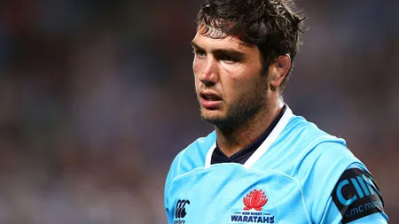 Rob Simmons renovó por dos años con Waratahs