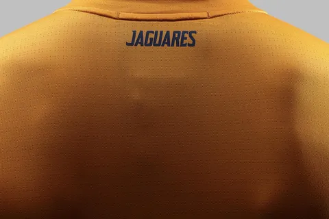 Camisetas Jaguares 2020 4
