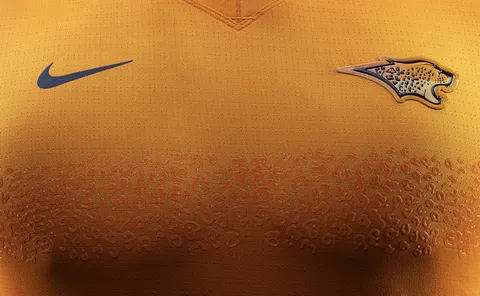 Camisetas Jaguares 2020 3