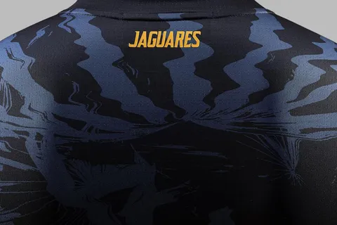 Camisetas Jaguares 2020 8