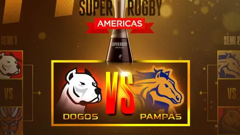DOGOS Y PAMPAS SE JUEGAN A TODO O NADA EN BUSCA DE PROCLAMARSE CAMPEÓN DEL SÚPER RUGBY AMERICAS