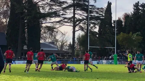 HURLING VENCIÓ A PUCARÁ Y SUEÑA CON EL ASCENSO AL TOP 14