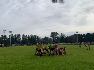 JUVENILES URBA: EN MENORES DE 16 ALUMNI DERROTÓ A LA PLATA Y ES EL ÚNICO ESCOLTA DE BELGRANO ATHLETIC EN LA ZONA “B”