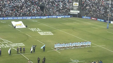 TRAS LA DERROTA LOS PUMAS CAYERON AL OCTAVO LUGAR DEL RANKING MUNDIAL