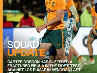 CARTER GORDON, UNA BAJA DE PESO PARA LOS WALLABIES DE CARA A LO QUE SIGUE DEL 2026