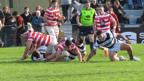 Acá están, estas son, ...las formaciones confirmadas de la última jornada del TOP 14