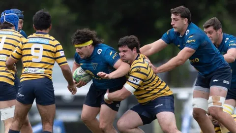 La Plata Rugby Club seguirá en la temporada 2027 en el TOP 14