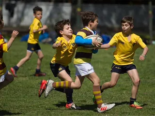 Modificaciones en el Reglamento del Rugby Infantil