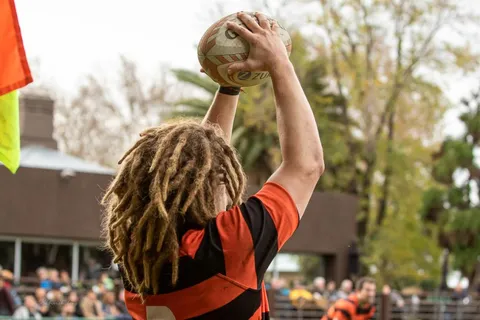 Olivos 3