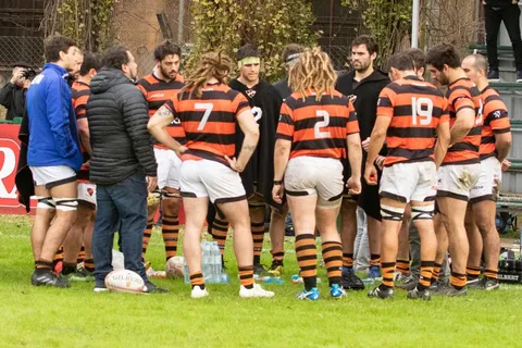 Olivos 1