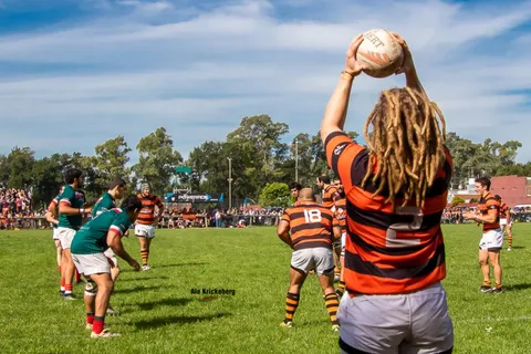 Olivos 7