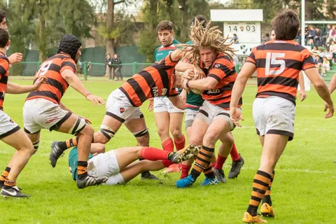 Olivos 2
