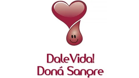 novedad-3997