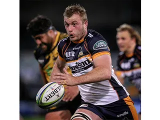 Brumbies le ganó a Western Force y se clasificó a la final