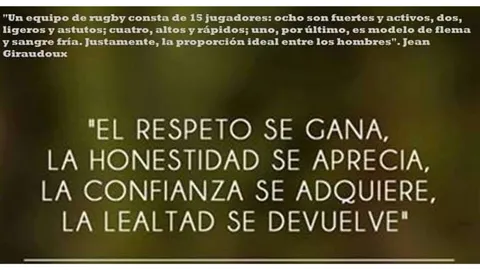novedad-5311