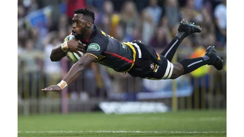 Kolisi jugará en Sharks