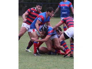 Los resultados de los torneos femininos y masculinos de la Unión de Rugby de Cuyo