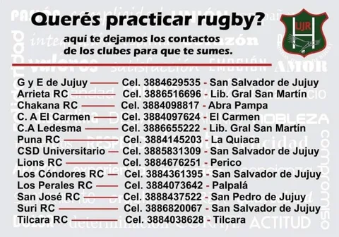 galeria-6180-1-286fbeac-ffd0-40c0-921f-c84e79330492